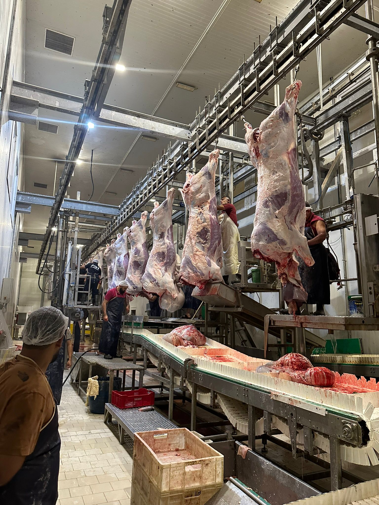 Yüksek Kaliteli Et Ürünleri