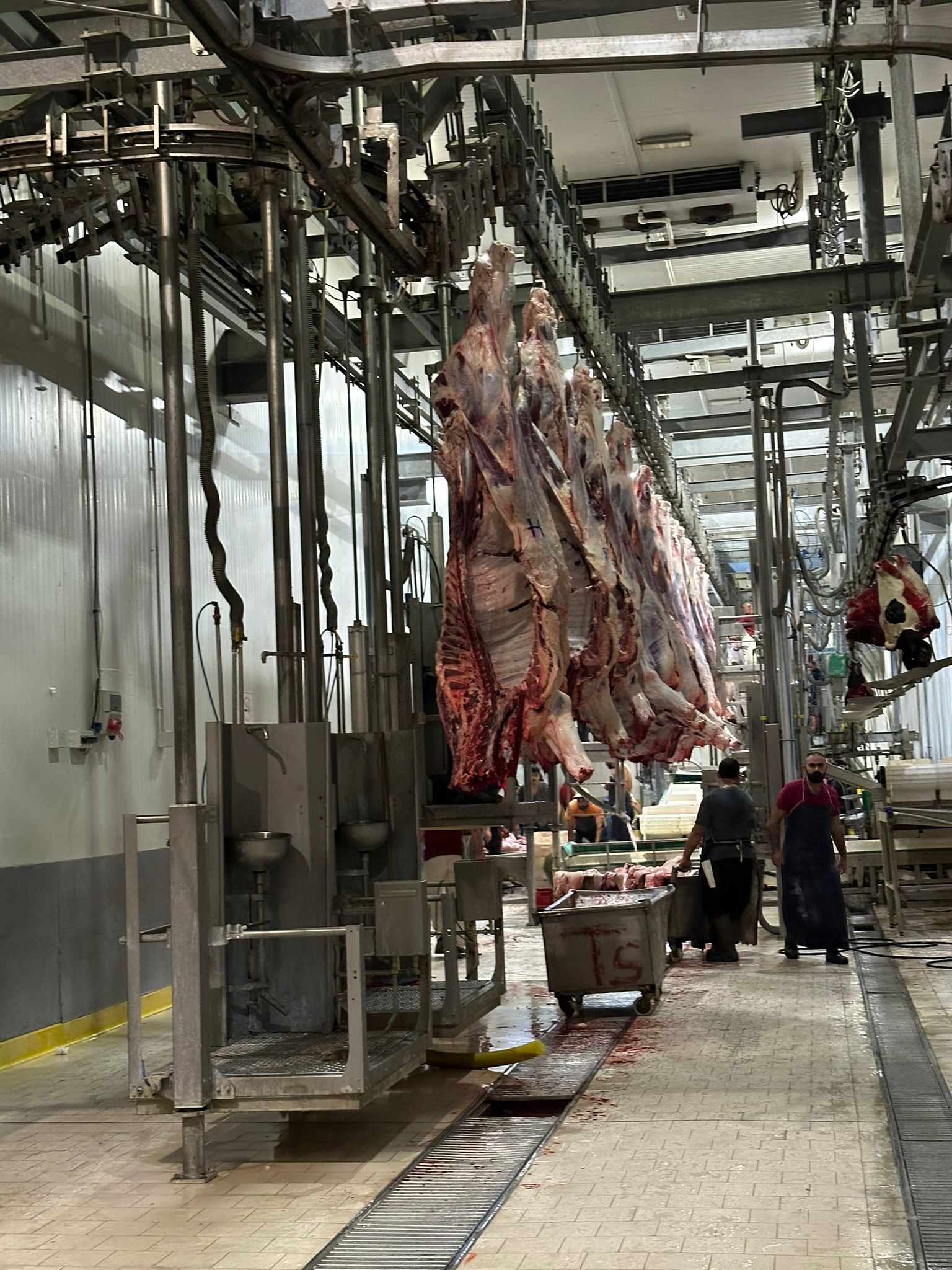 Modern Hayvancılık Çiftliği